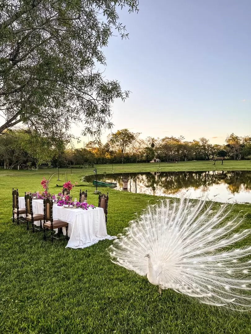 Hacienda L&M, gentileza