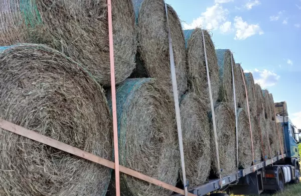 Paraguay se está convirtiendo en un gran productor y exportador de heno a nivel mundial
