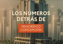 Los números detrás de Frigorífico Concepción