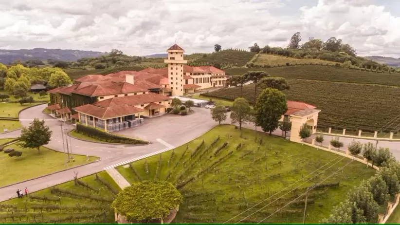 Vista aérea de Bodega Miolo en Brasil, la bodega madre de Grupo Miolo. Imagen: Emerson Ribeiro