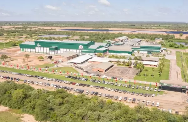 Cooperativas de producción: los gigantes silenciosos de la economía paraguaya