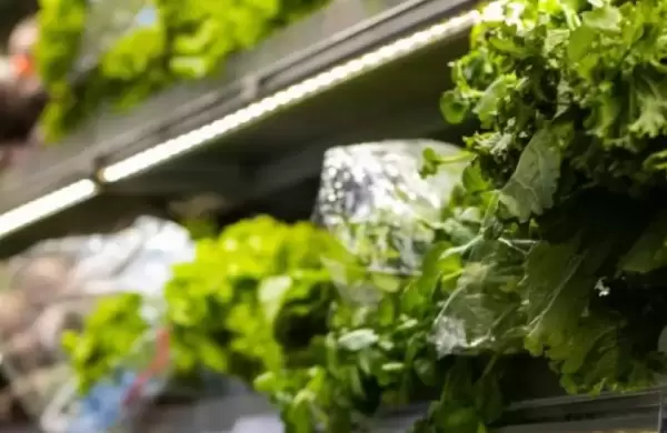 Precio de las verduras aumentó 25% en enero, según el BCP