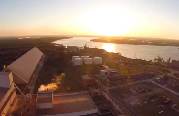 Exportación de granos en auge mientras la industrialización de soja sigue estancada