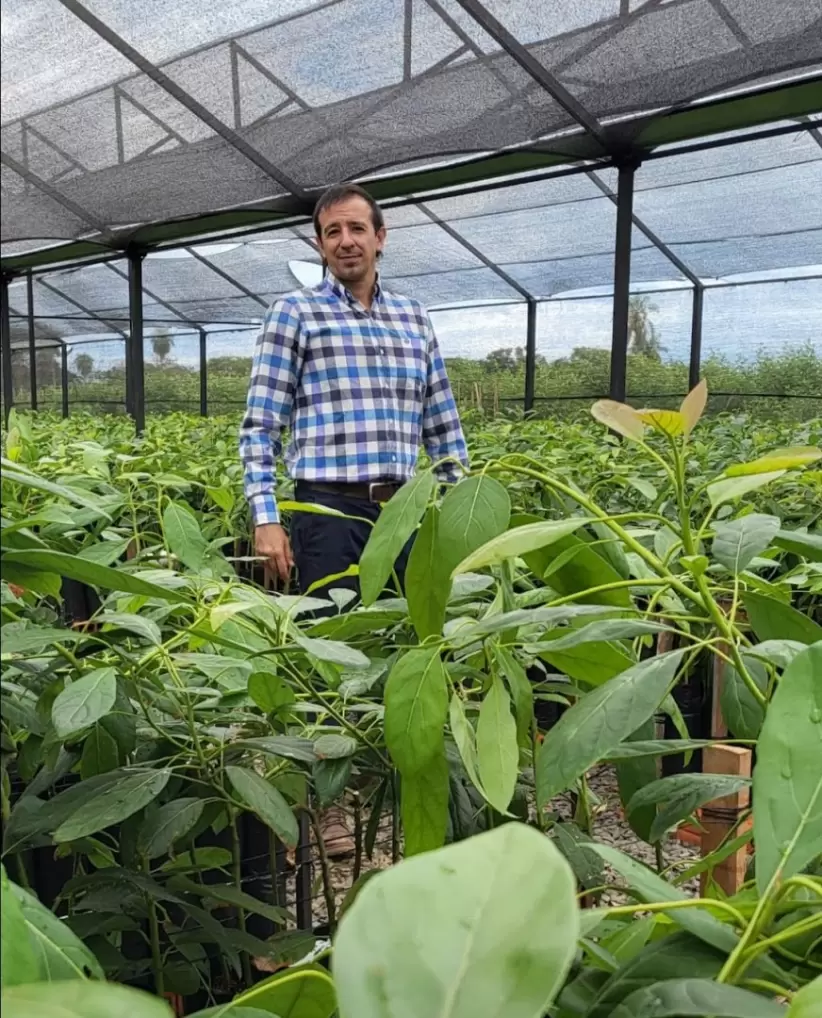 Jorge Luis Palacios, CEO de Vivero Aguacate PY