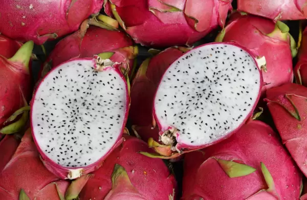 La fruta del dragón paraguaya apunta a la exportación y proyecta récord de producción