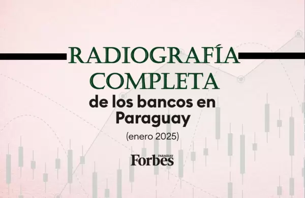 Radiografía Completa de los bancos en Paraguay (enero 2025)