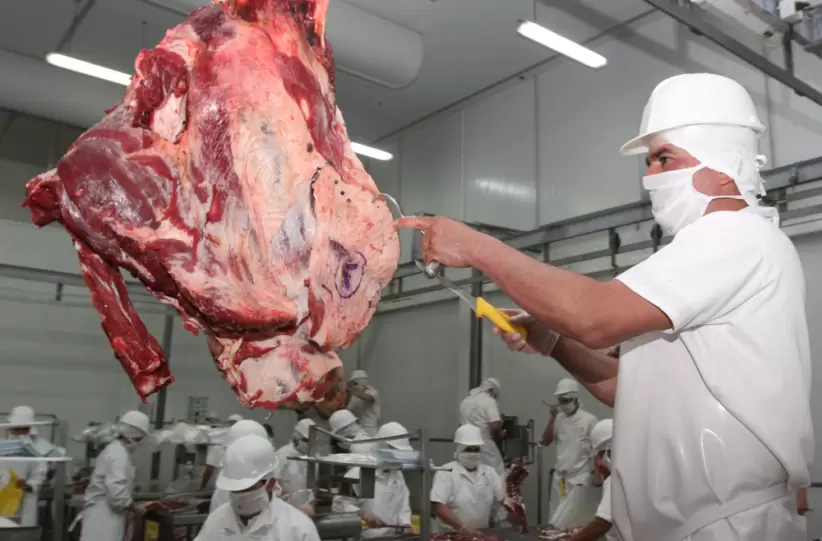 Exportación de carne