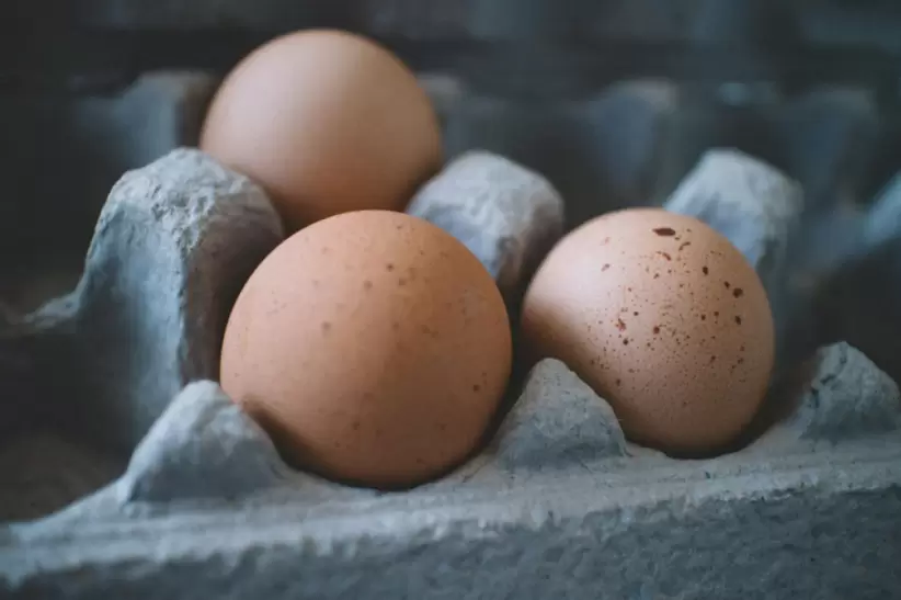 huevos
