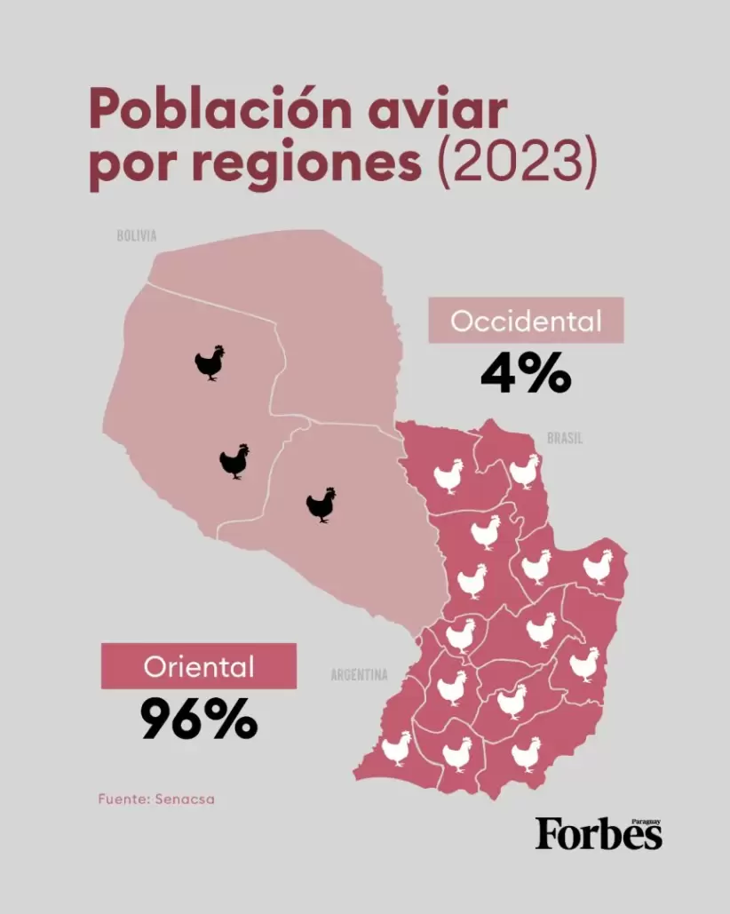 Datos del sector avícola