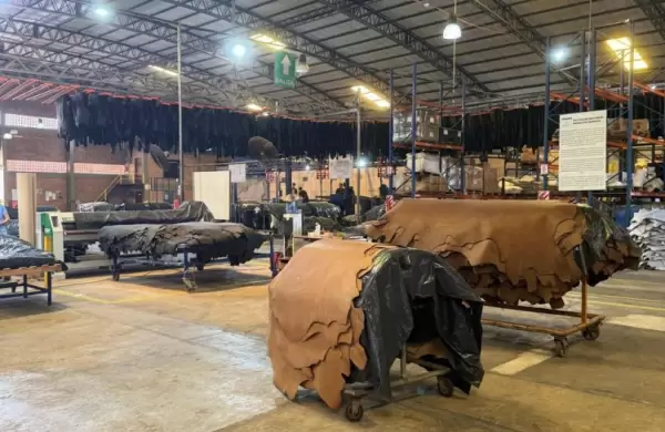 El renacer del cuero paraguayo: la apuesta para impulsar la industria hacia nuevos horizontes internacionales