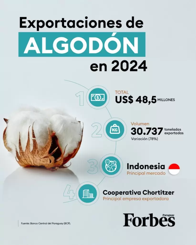 Exportaciones de algodón