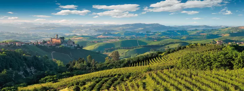 Colli Tortonesi, Italia, bodega