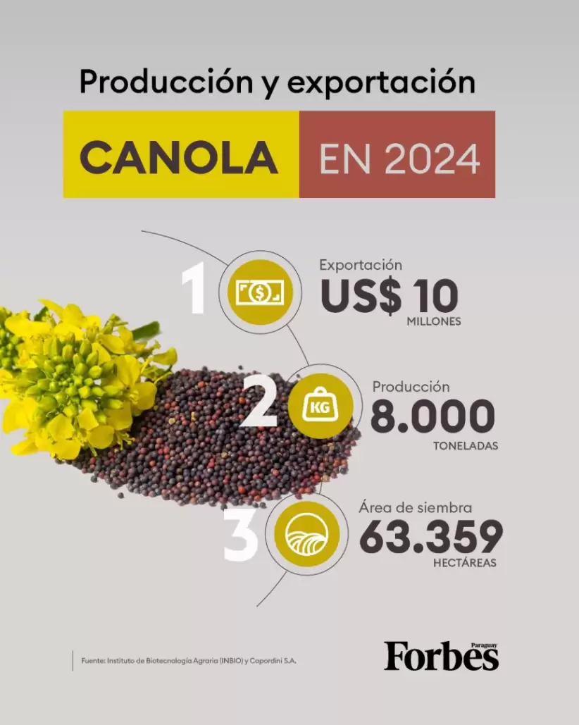 Info Canola
