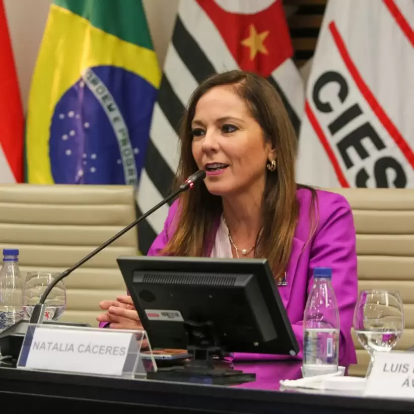 Natalia Cáceres, Agregada Comercial  de Paraguay en España