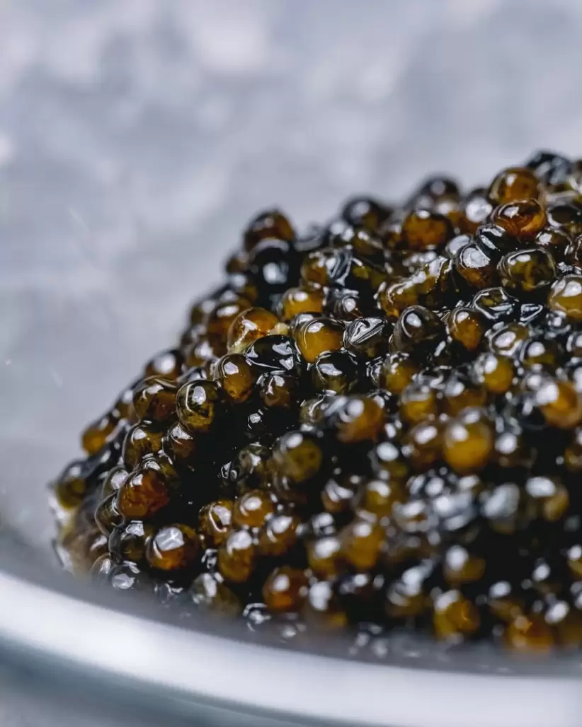 Polanco Caviar
