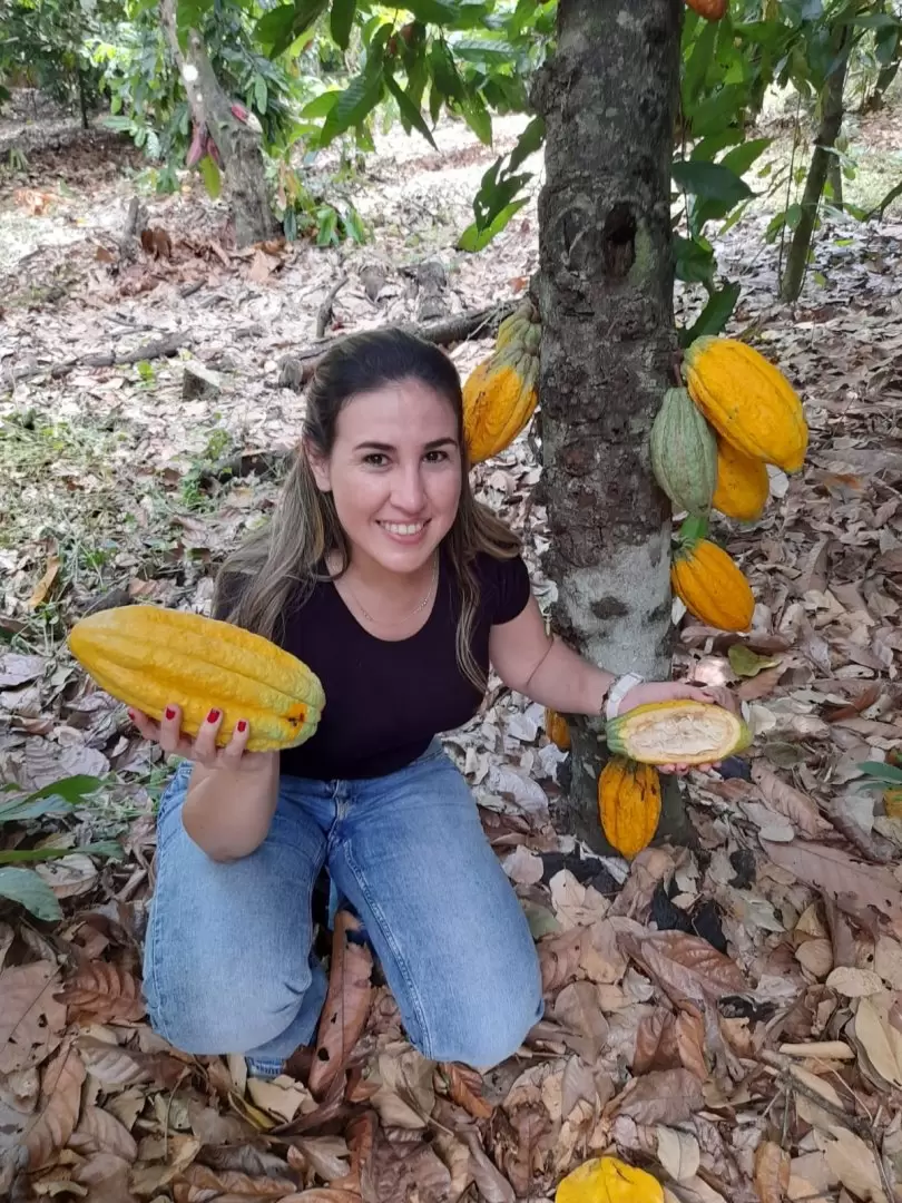 Chocolates, Cacao Lab