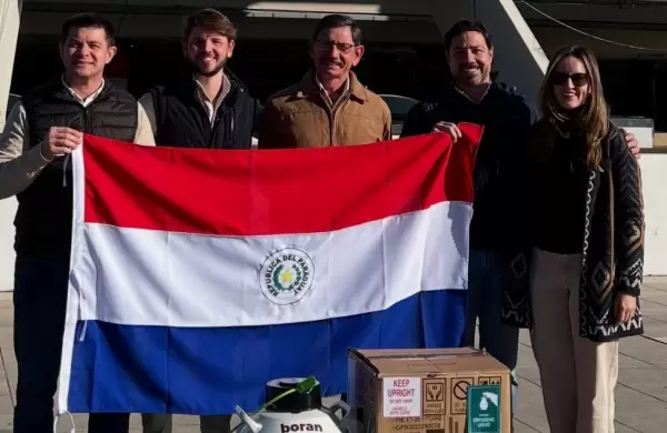 Hito en ganadería: Paraguay exportó embriones de la raza Boran a Brasil y ahora se prepara para Colombia, Uruguay y Guatemala