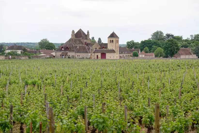Vougeot, Bourgogne-Franche-Comté, France