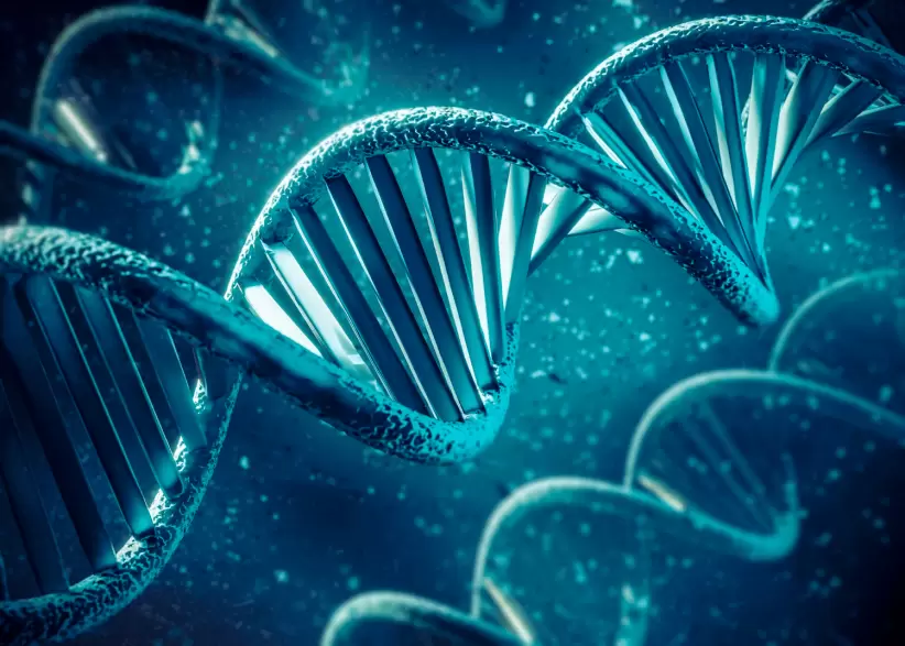 Genómica, ADN, genes, estudios