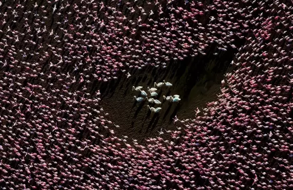 La naturaleza desde el aire en 20 increíbles fotos