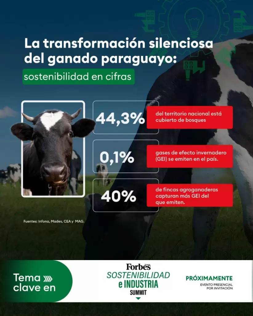 Ganadería sostenible