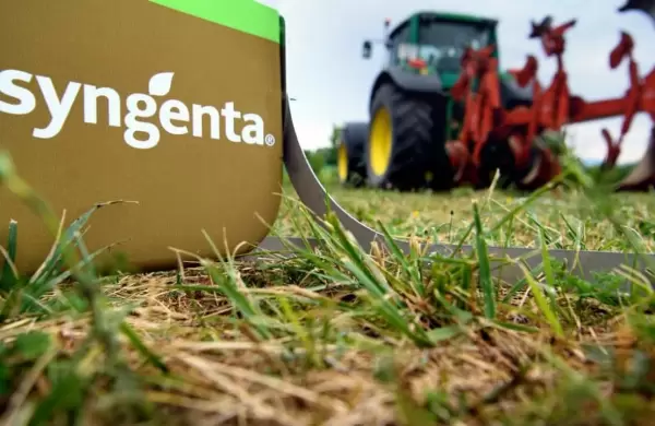 Conexión durante 365 días: Syngenta presenta su nuevo centro de innovación agrícola en el corazón del Alto Paraná