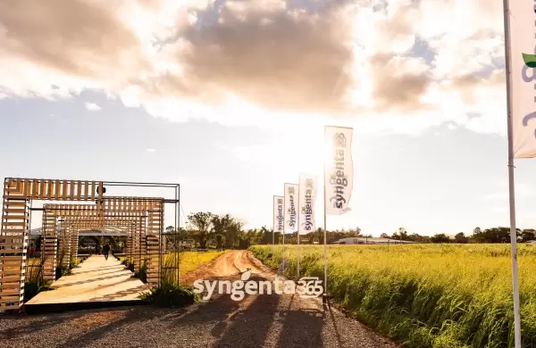 La agricultura paraguaya se está consolidando por su tecnicismo y alta inversión en tecnología, destacan expertos