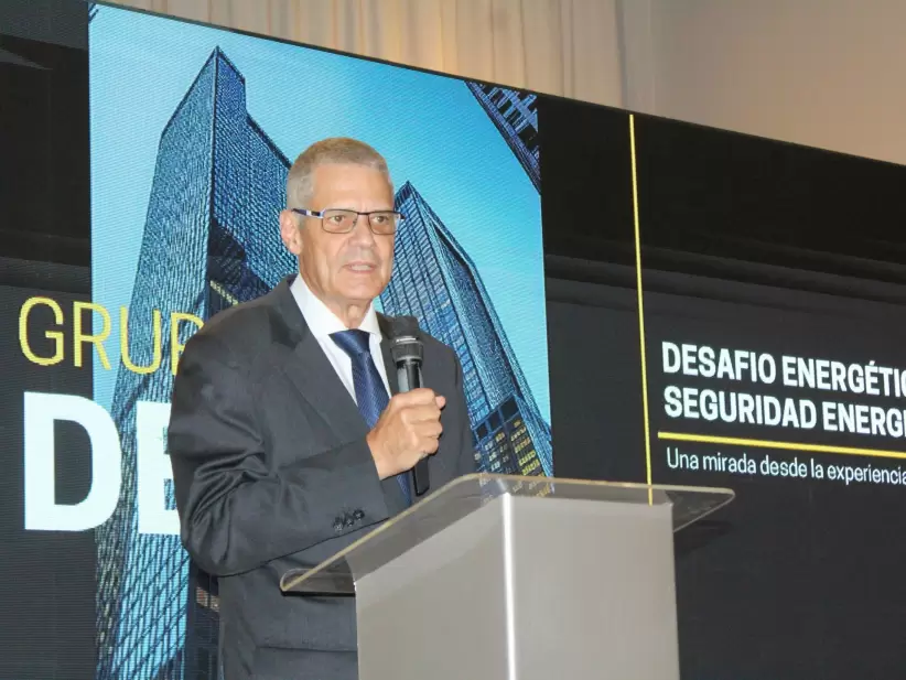 Luiz Fernando Leone Vianna, Vicepresidente del Grupo Delta Energía y Exdirector general brasileño de Itaipú Binacional