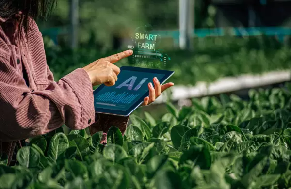 Paraguay podría integrar inteligencia artificial en sus producciones para avanzar hacia una agricultura 5.0