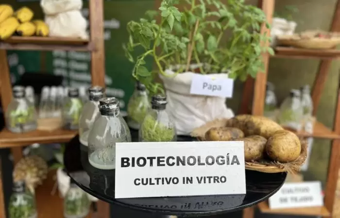 Biotecnología, agricultura tecnológica, agricultura sostenible