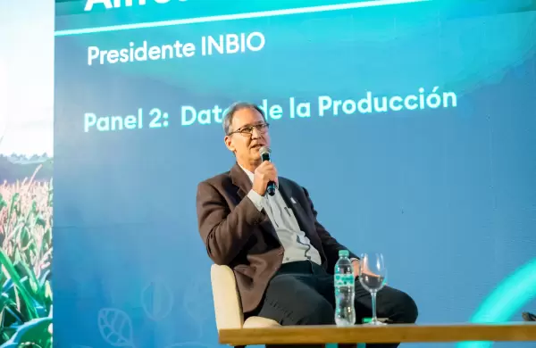 Radiografía del agro nacional: Paraguay cuenta con casi 16 millones de hectáreas de bosques