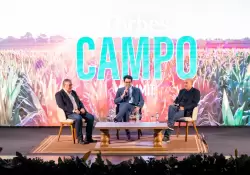 Reglamento 1.115: entre la sostenibilidad europea y los desafíos para el agro paraguayo