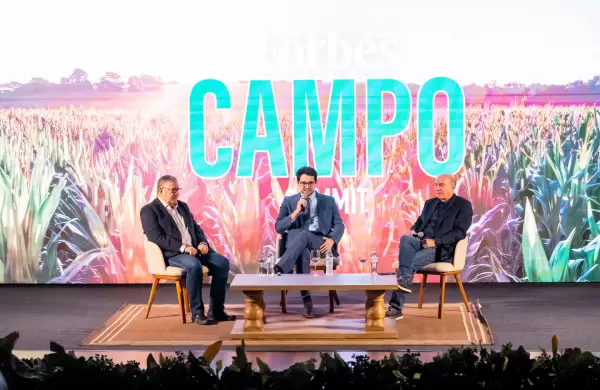 Reglamento 1.115: entre la sostenibilidad europea y los desafíos para el agro paraguayo