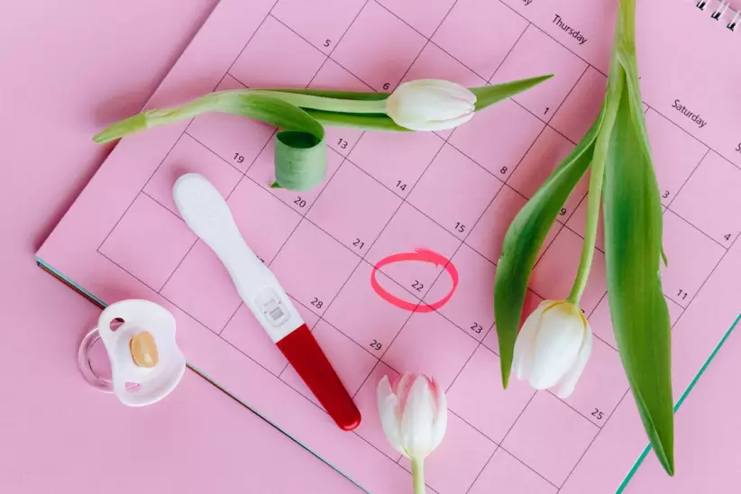 Fertilización in vitro