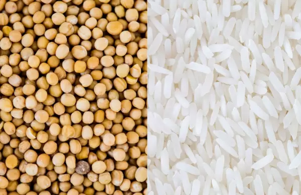 Menores ventas de soja y arroz golpean exportaciones, maquila resiste con alza del 7,1%