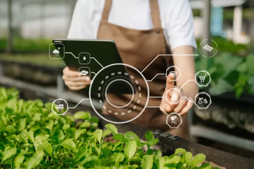innovacion y transformacion agro
