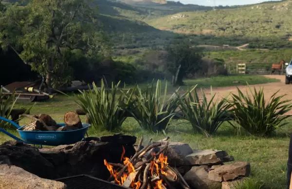 El negocio de conservar: cómo Las Campanas convirtió 650 hectáreas de Lavalleja en un fideicomiso regenerativo