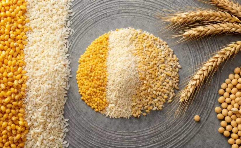Exportaciones con sabor a campo: soja, trigo y maíz representaron el 45% de las exportaciones totales del país