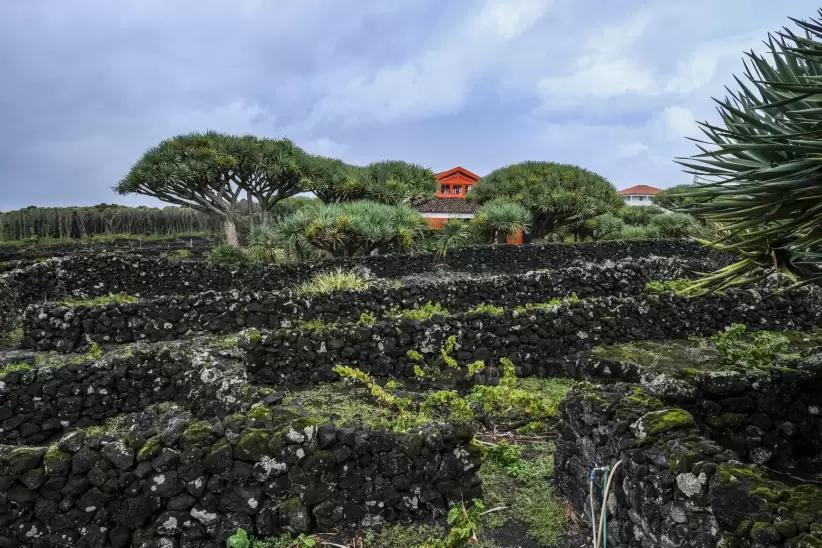 Isla de pico