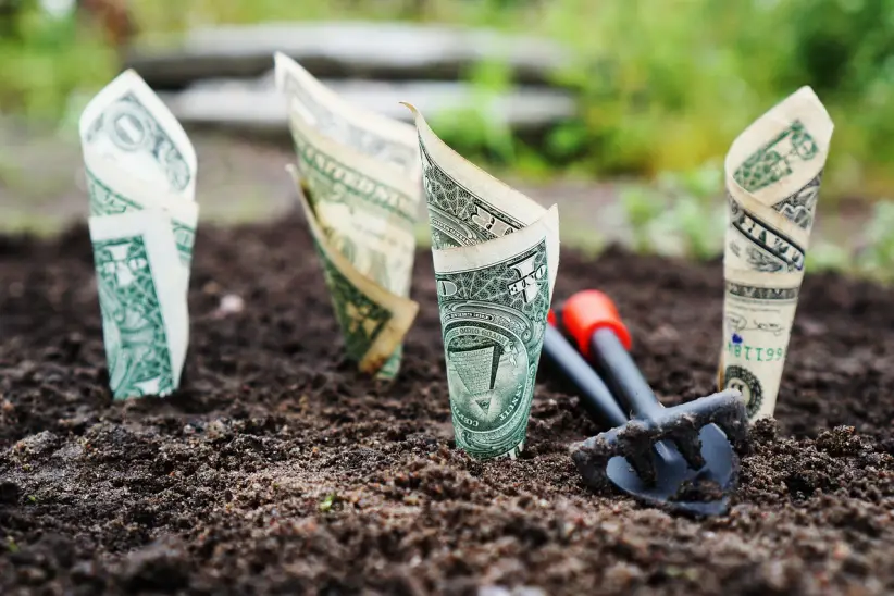 dinero, crecer, interesar, salvar, invertir, comparte, fondos, el banco, finanzas, billetes de banco, financiero, cuenta de ahorros, cuenta bancaria,