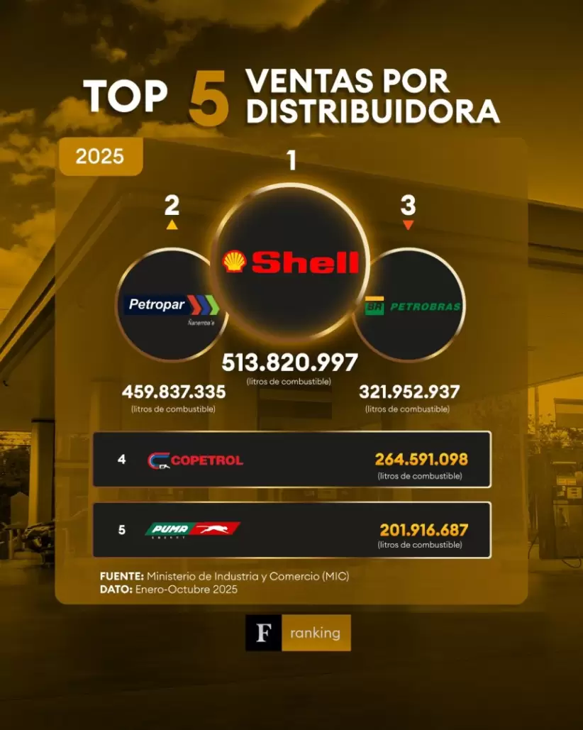 Top 5 ventas de combustible Paraguay 2025