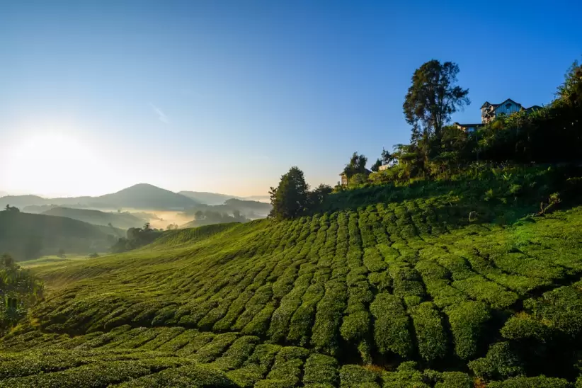 Malasia