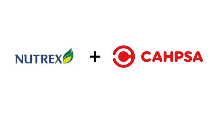 nutrex cahpsa