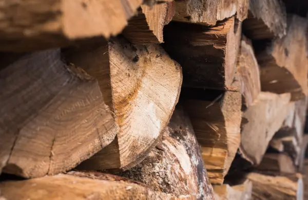 Exportaciones forestales paraguayas superan los US$ 100 millones y avanzan hacia mayor valor agregado