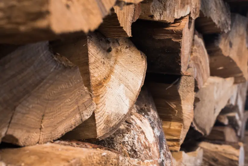 madera