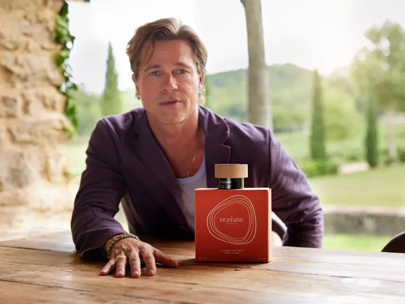 le_domaine brad pitt