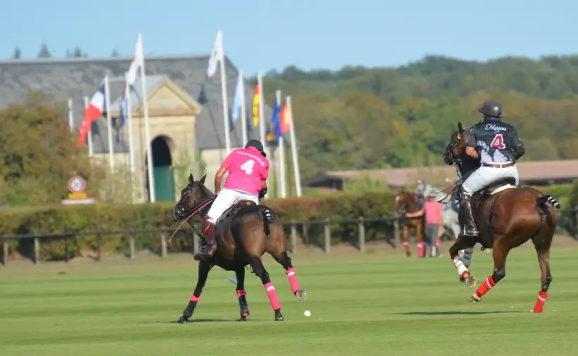 tdg_0000_polo tdg