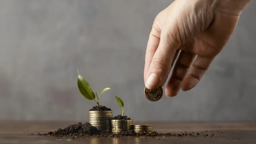 ahorro e inversión
