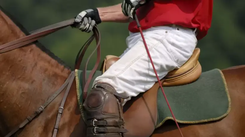 paraguay polo 