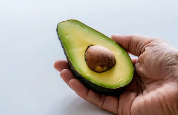 El oro verde paraguayo: San Pedro se posiciona como polo del aguacate